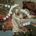 Villagerrr: Tear Your Heart Out - (VINYL LP)