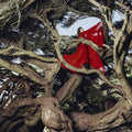 Hannah Frances: Nested In Tangles - CD