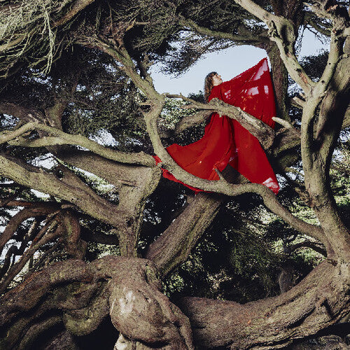 Hannah Frances: Nested In Tangles - CD