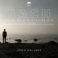Jorg Halubek: Organ Landscapes: Hamburg - CD