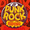 Various Artists: Punk Rock Raduno V.8 (Various Artists) - (VINYL LP)