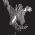 Oceansize: Self Preserved While The Bodies Float Up - (VINYL LP)