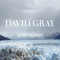David Gray: Life in Slow Motion (20th Anniversary Edition) Blue - (VINYL LP)