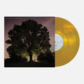 Tyler Ramsey & Carl Broemel: Celestun - Gold - (VINYL LP)