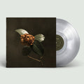 St. Paul & the Broken Bones: Young Sick Camellia - (VINYL LP)