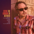 Kevin Gordon: The In Between - CD