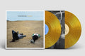 The Head and the Heart: Let's Be Still - Gold - (VINYL LP)