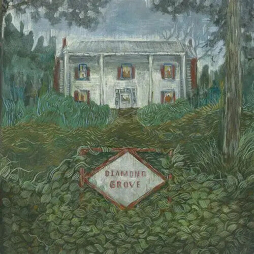 Weirs: Diamond Grove - (VINYL LP)