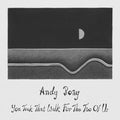 Andy Boay: You Took That Walk For The Two Of Us - (VINYL LP)
