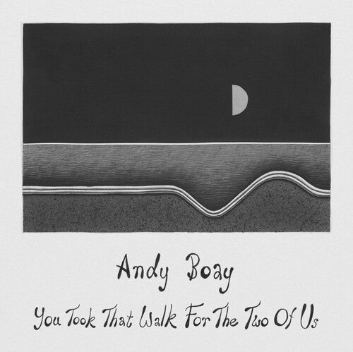 Andy Boay: You Took That Walk For The Two Of Us - (VINYL LP)