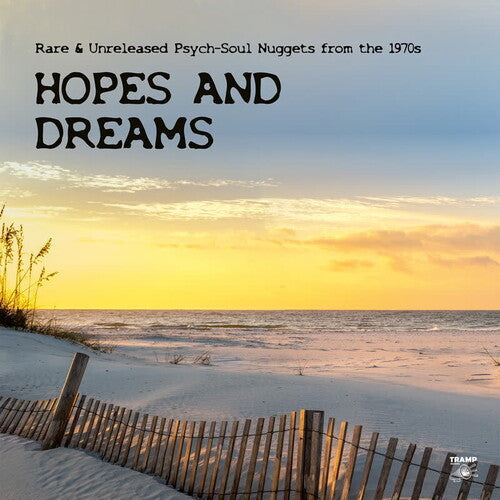 Various Artists: Hopes And Dreams: Rare & Unreleased Psych-Soul Nuggets from the 1970s - (VINYL LP)