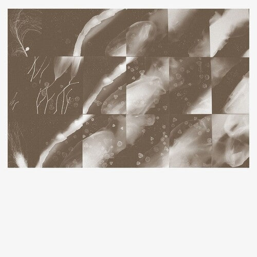 Peter Knight: For A Moment The Sky Knew My Name - CD