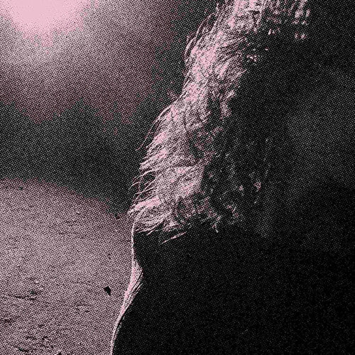 Venturing: Ghostholding - (VINYL LP)