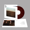 Fink: The City Is Coming to Erase It All - (VINYL LP)
