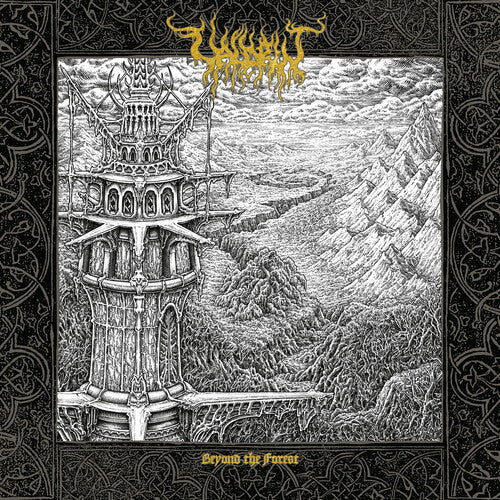 Valdrin: Beyond The Forest - (VINYL LP)