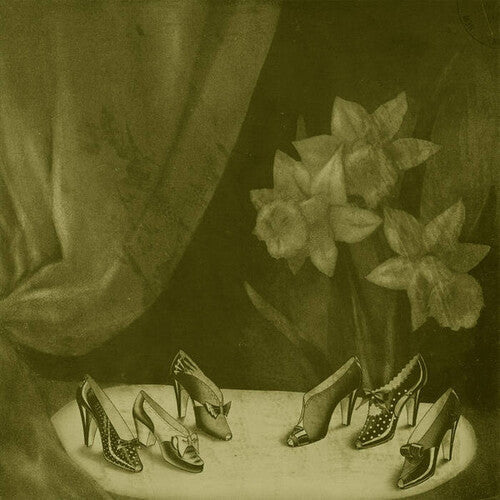 Alice Cohen: Into The Grey Salons - (VINYL LP)
