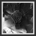 Ital Tek: Mind Abandon - CD