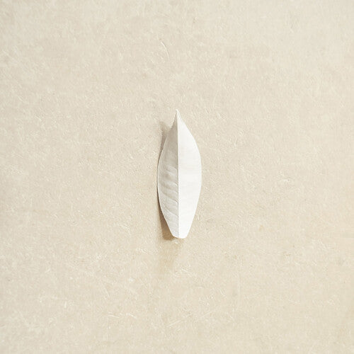 Sylvain Chauveau: The Complexity of the Simple - (VINYL LP)