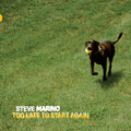 Steve Marino: Too Late to Start Again - (VINYL LP)