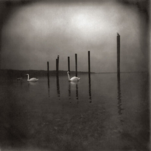 Om: Conference Of The Birds - (VINYL LP)