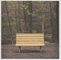 Streetlight Manifesto: The Hands That Thieve - (VINYL LP)