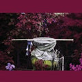 Ava Mendoza: Alive Alone, Alive Together - CD