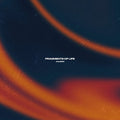 Aalson: Fragments of Life - (VINYL LP)