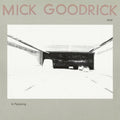 Mick Goodrick: In Pas(s)ing (Ecm Luminessence Series) - (VINYL LP)