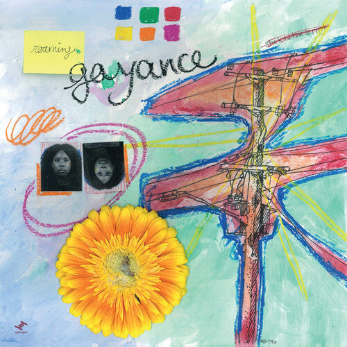 Gayance: Roaming - (VINYL LP)