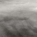 Lynn Wright: Before The Sinking Plains - (VINYL LP)