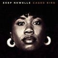 Ekep Nkwelle: Caged Bird - (VINYL LP)