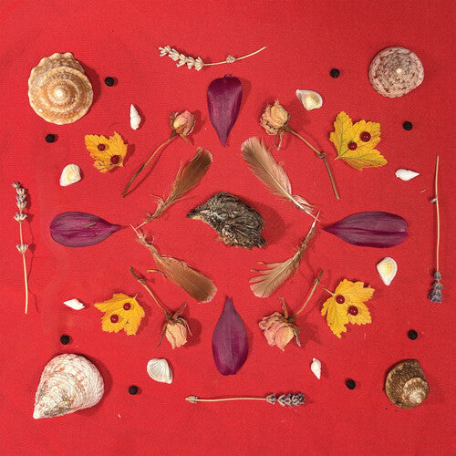 Secret Family: Grouse Head Talisman - (VINYL LP)