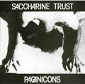 Saccharine Trust: Pagan Icons - CD