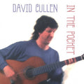 David Cullen: In the Pocket - COMPACT DISCS