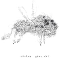 Tetema: Geocidal - CD