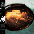Palazzi D'Oriente: Sheltering Water -LP