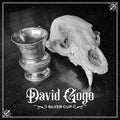 David Gogo: Silver Cup -LP