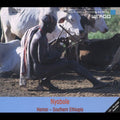 Various Artists: Nyabole: Music Of The Hamar - CD