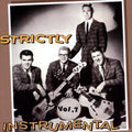 Various Artists: Strictly Instrumental, Vol. 7 - COMPACT DISCS