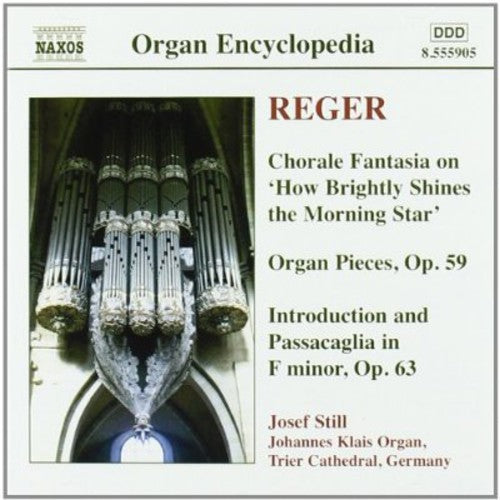 M. Reger: Organ Works 4 - CD