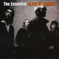 Alice in Chains: Essential Alice in Chains - CD