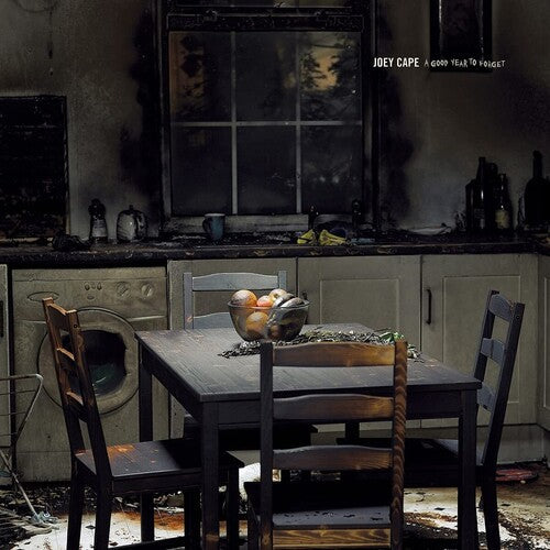 Joey Cape: A Good Year To Forget - (VINYL LP)
