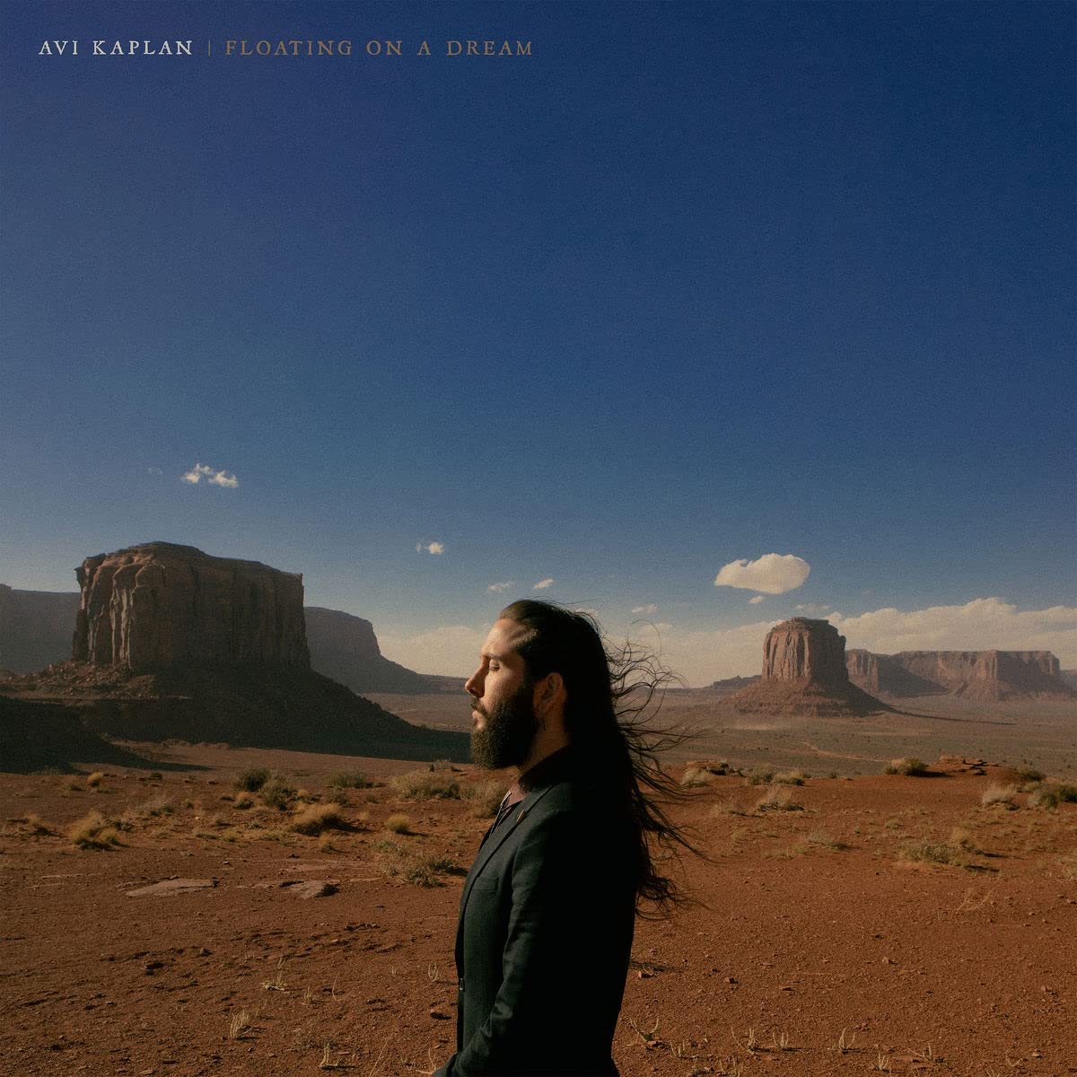 Avi Kaplan: Floating On A Dream - (VINYL LP)