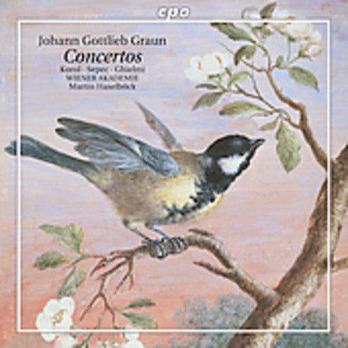 Wiener Akademie Orchester: Concertos - CD
