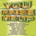 Various Artists: You Raise Me Up - CD