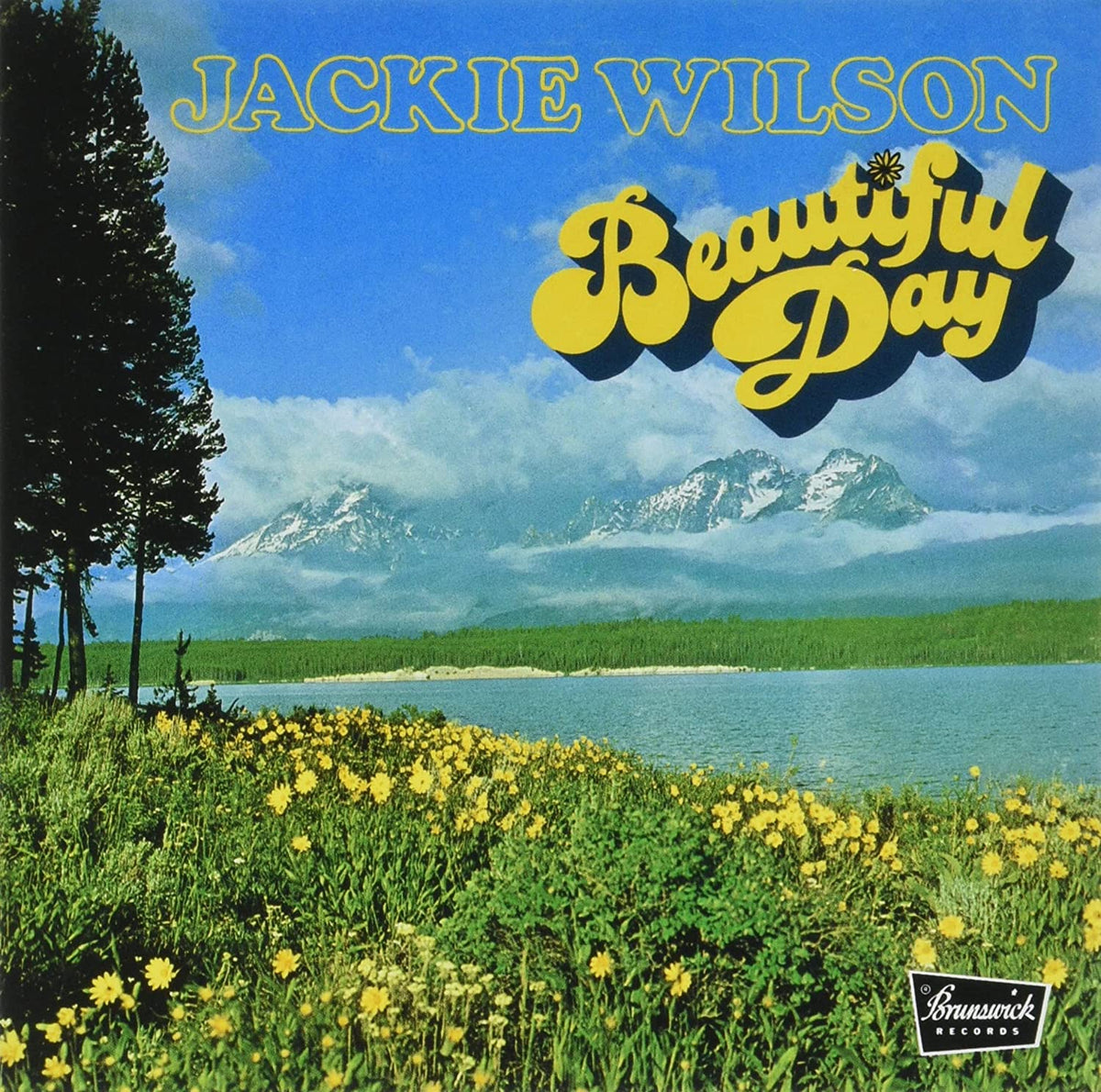 Jackie Wilson: Beautiful Day (Remastered) - CD