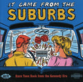 Various Artists: It Came From The Suburbs: Rare Teen Rock From The Kennedy Era - CD